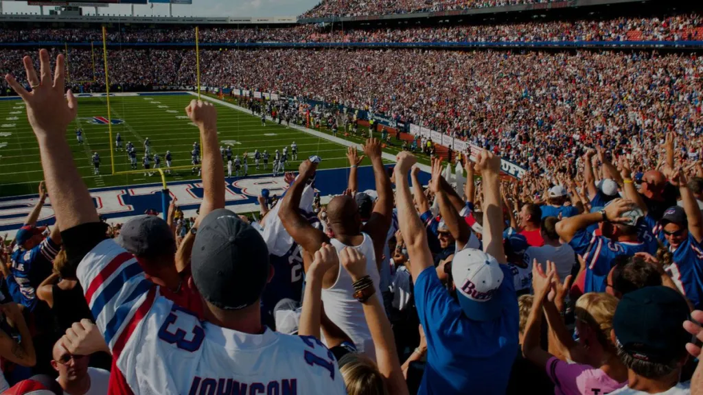 طراحی سایت در کرمان و سایر استان ها